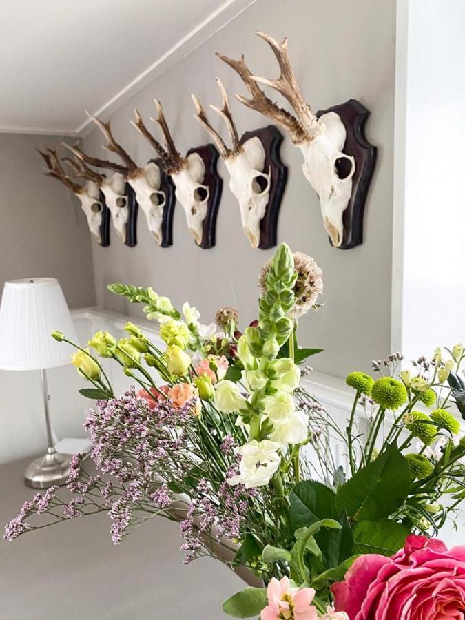4Seasonshouse Villa Losser ภายนอก รูปภาพ